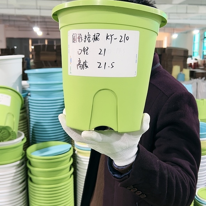 正品圆控口21高21果绿8只无托