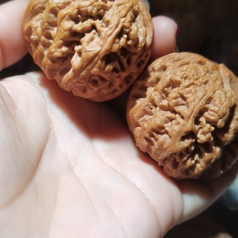 猴头核桃吊坠47粗筋