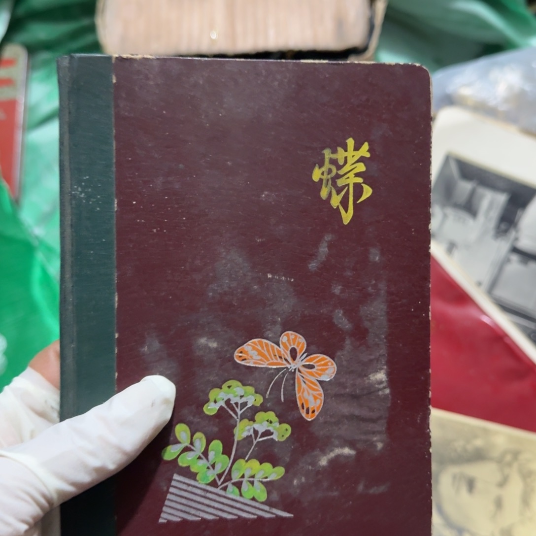 天***帅杂色豆（科檀/科特迪瓦檀木）