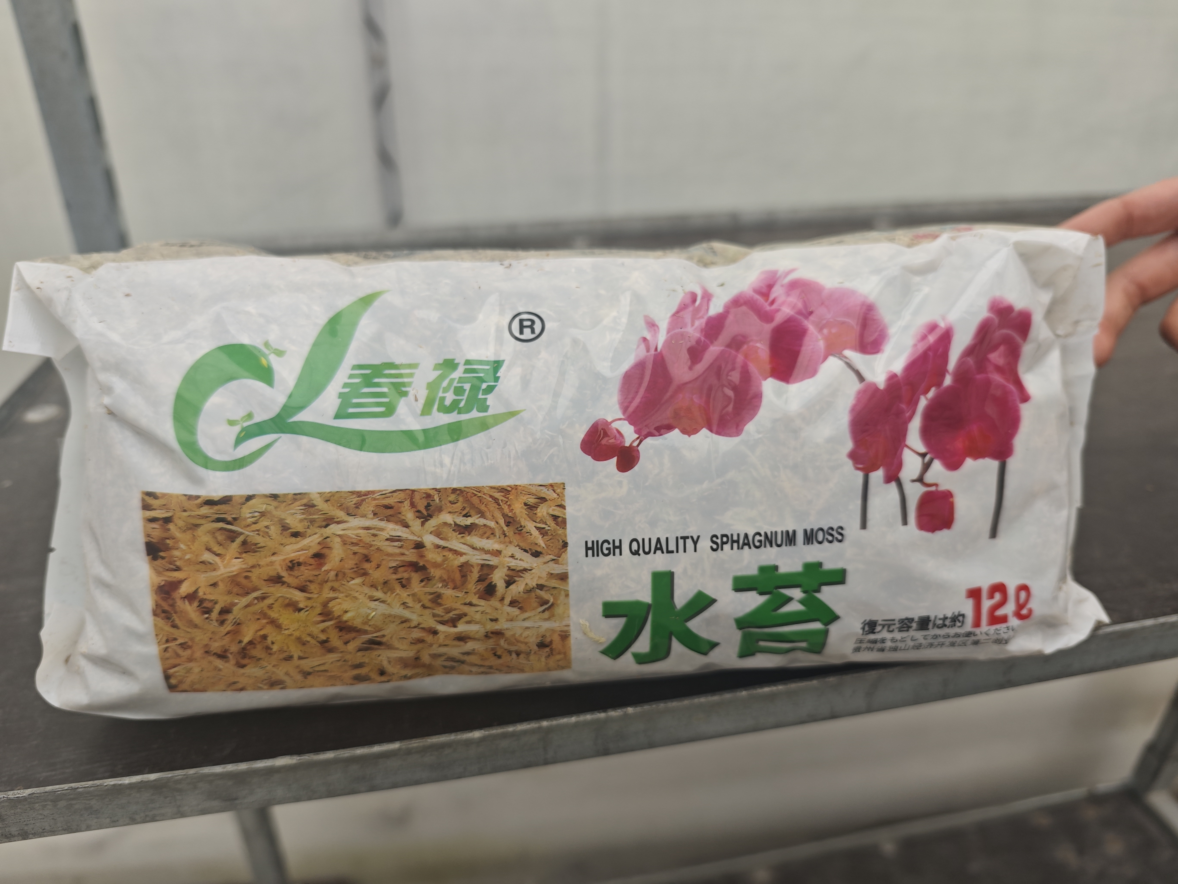 【水苔】蝴蝶兰植料养花一包12升(约130克)有少量杂质兰花干水苔