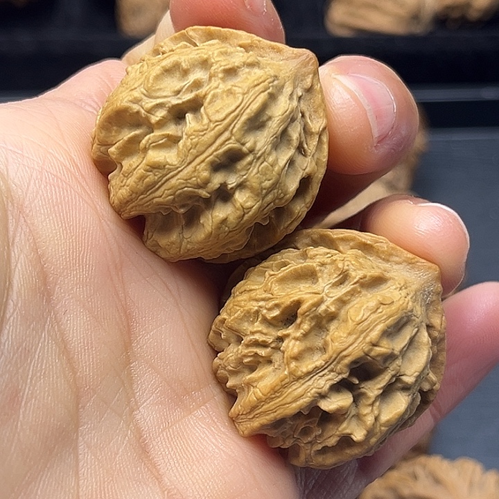 木质类秦岭突突突突突