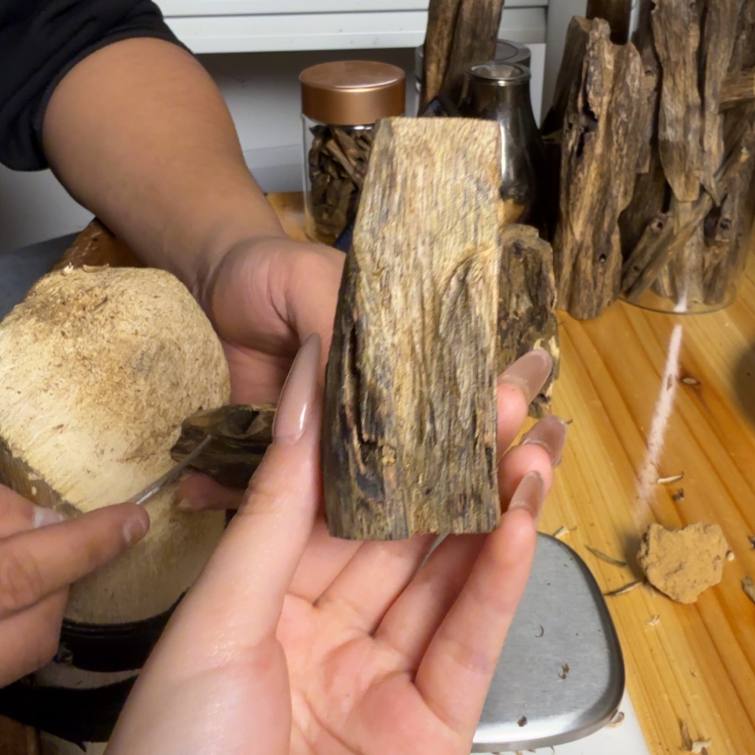 沉香白奇虫漏21克