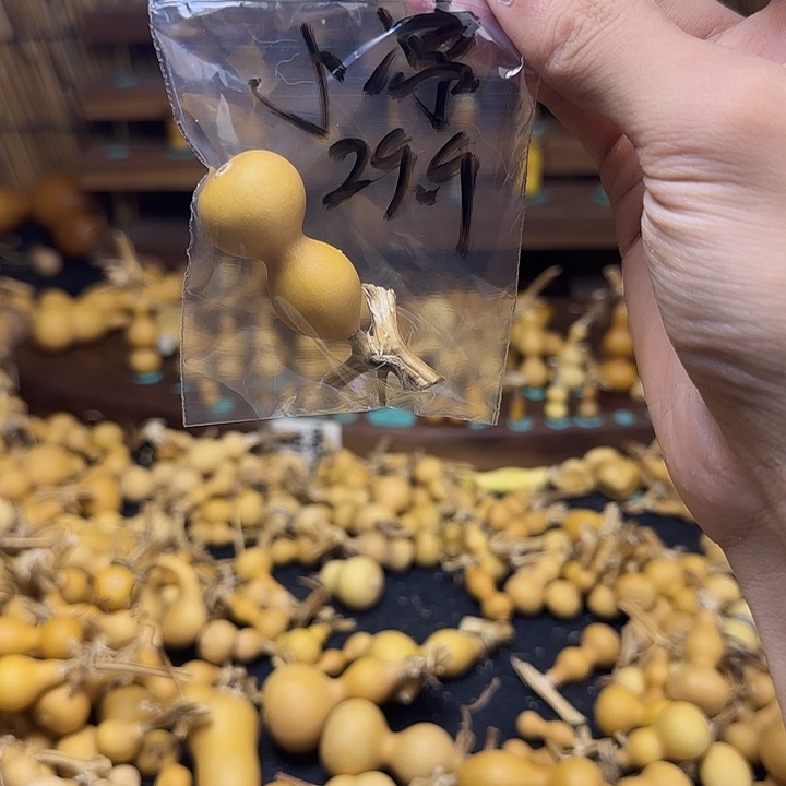 小***粉瞬间觉得很方便大家