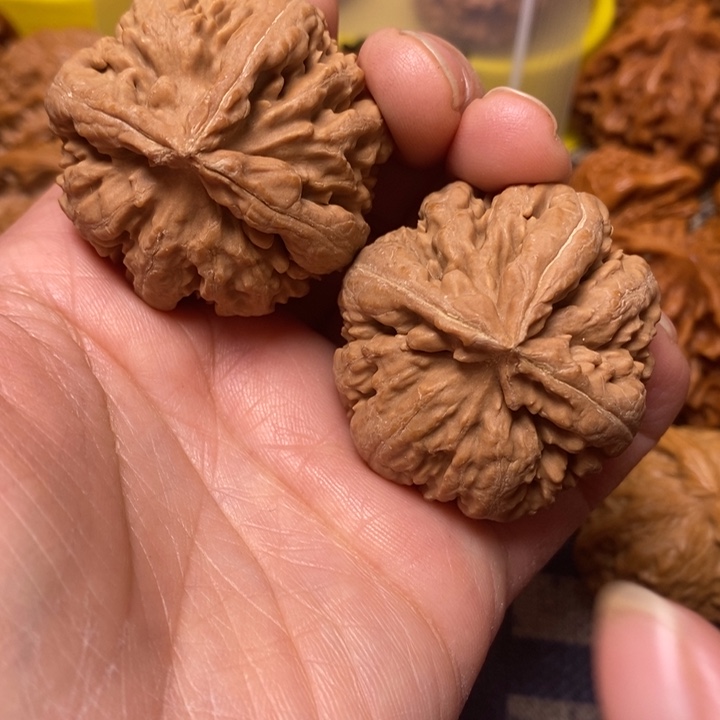 大叶紫檀（黑酸枝木类）三棱