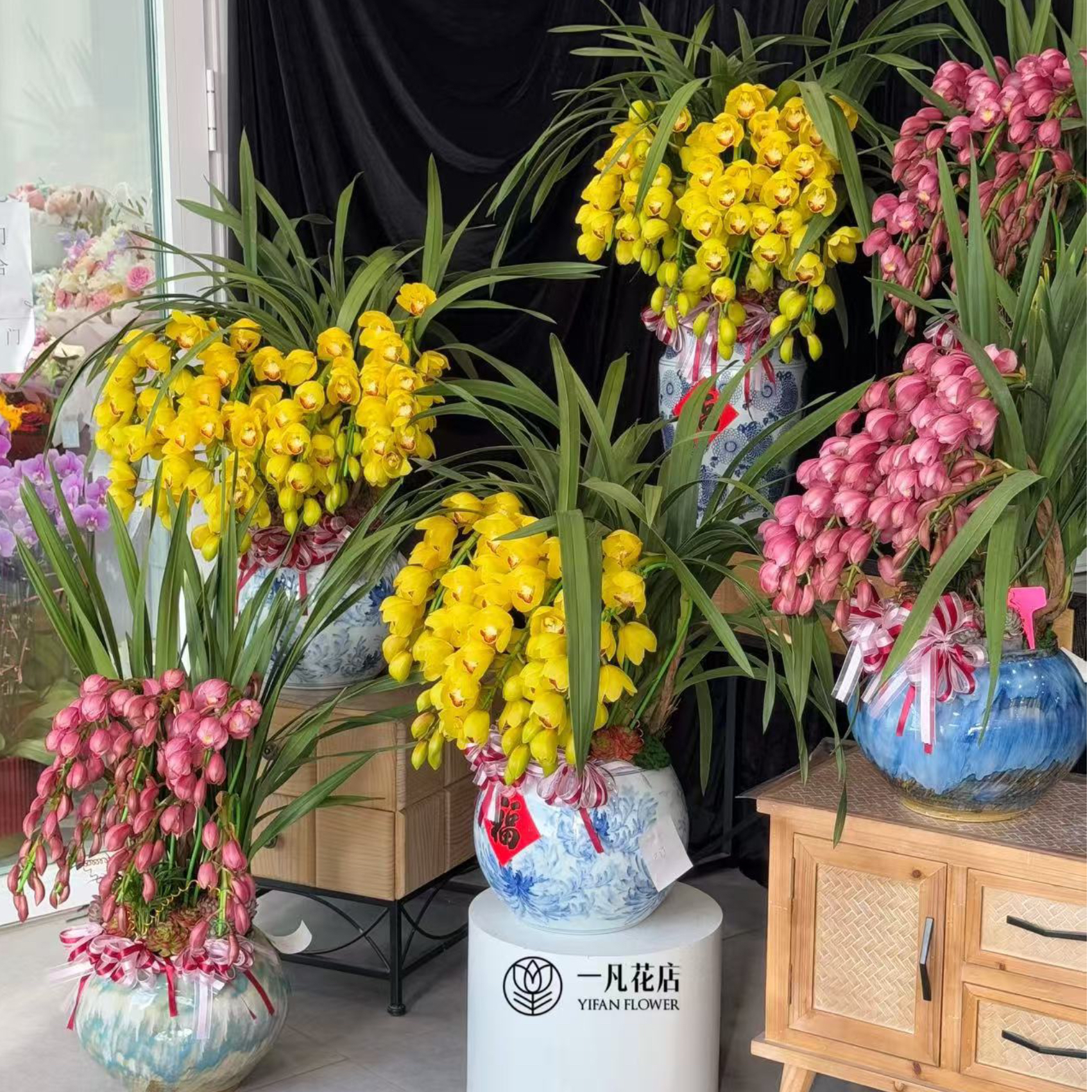 人家富贵花大花蕙兰