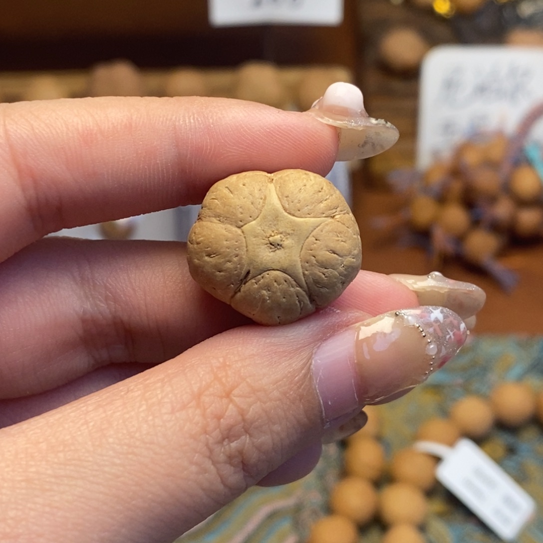 凤眼菩提吊坠五星