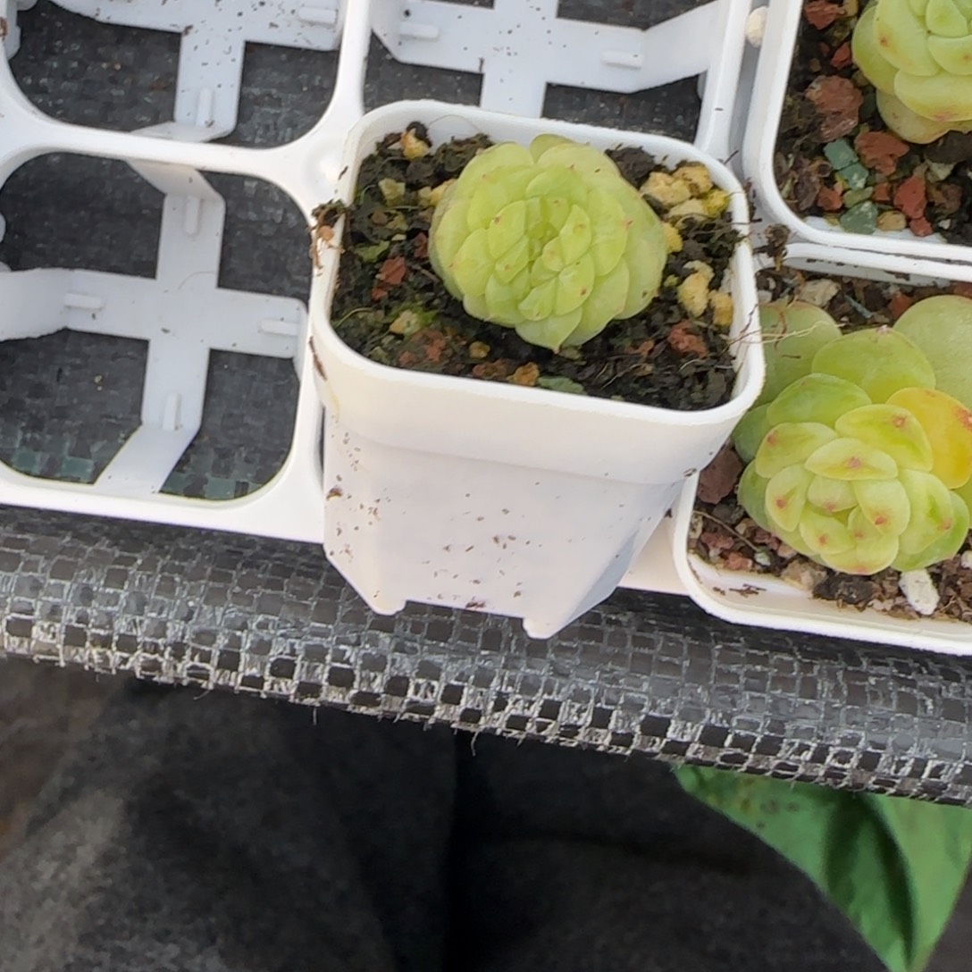 毛***羡192 盆疑以5床一个满25包邮