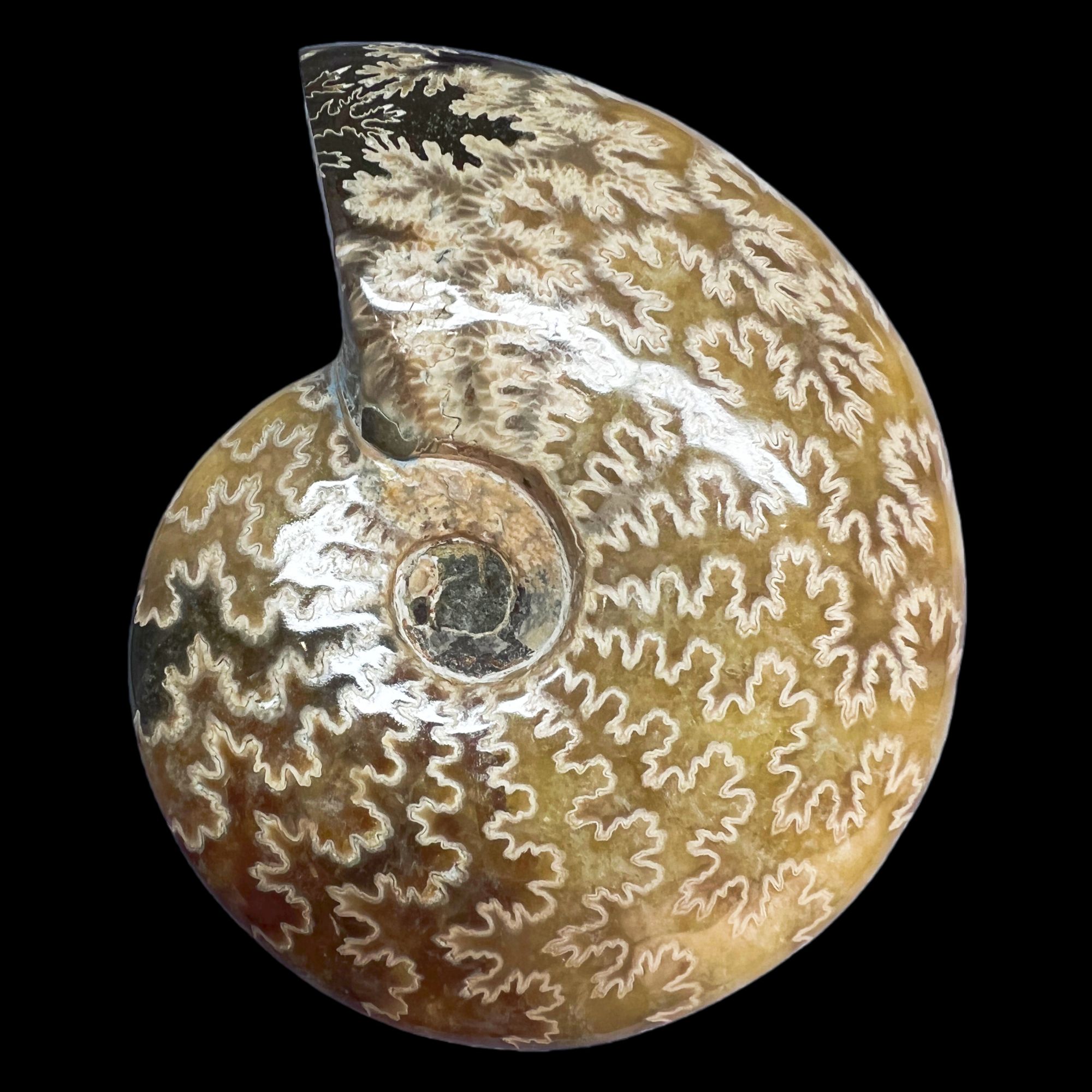 【 叶菊石（把件）】100.1mm 玉化 马达加斯加 N-50  创意饰品 B13