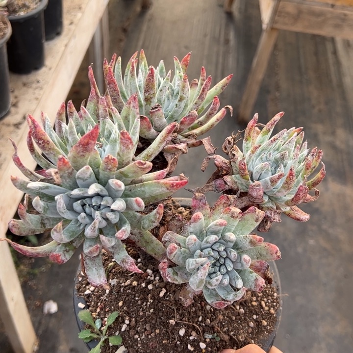 568哈哈哈哈哈哈哈哈