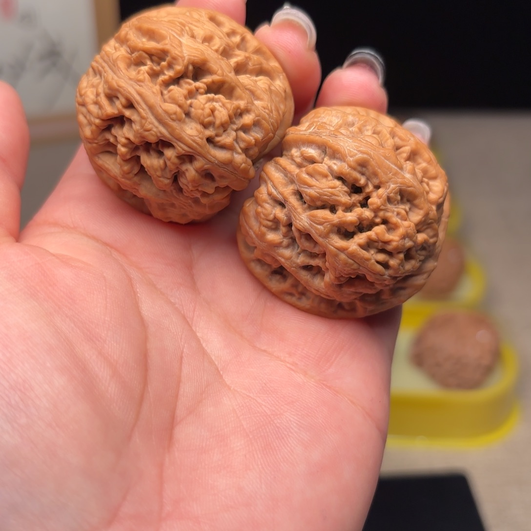 x****g41+全品无修大粗筋克重 50 克