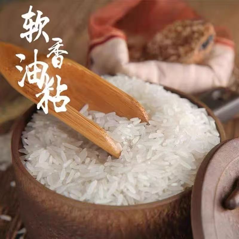 当季新米农家正宗米不抛光不打蜡煮饭软糯好吃