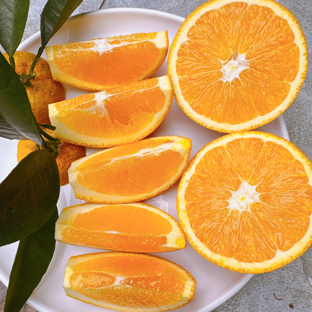 四川富顺甜橙农户种植自然成熟应季水果甜橙无任何农药添加