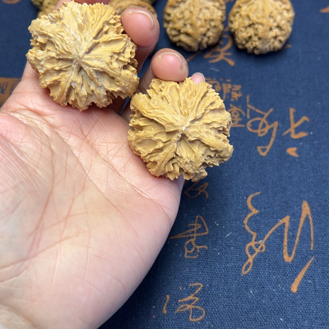 文玩核桃把件秦岭野生植物核桃 46 mm