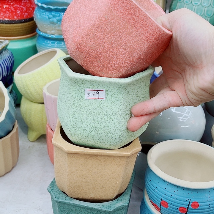 多肉植物陶瓷花盆