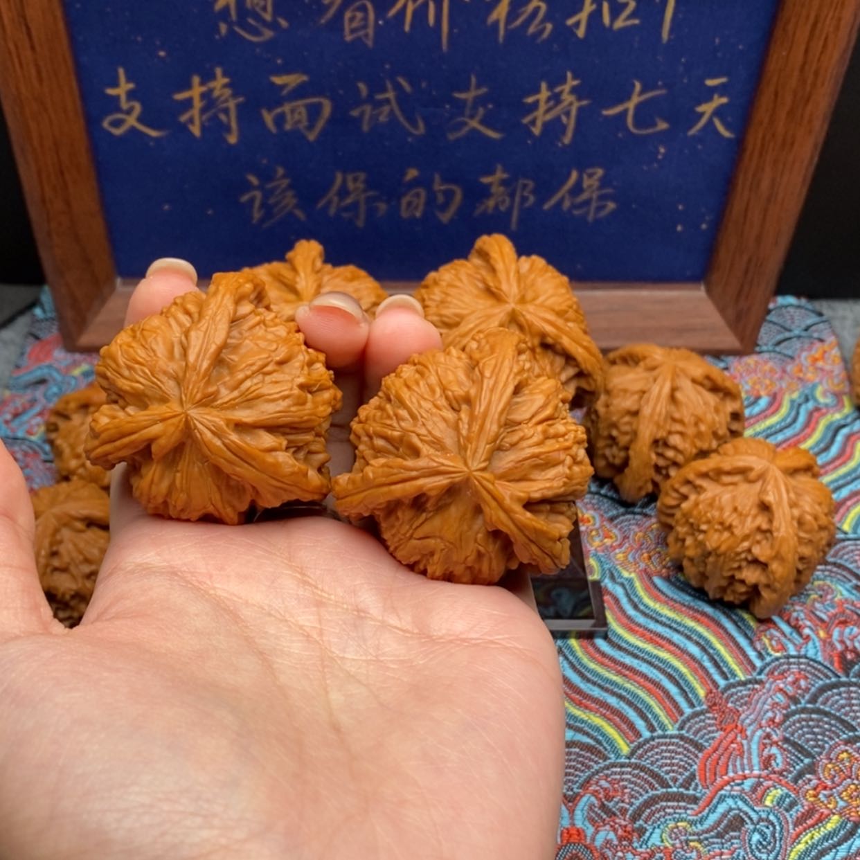 【闪购商品】新白狮