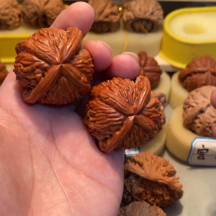 【闪购商品】思*gggbbbbbbbbvvb