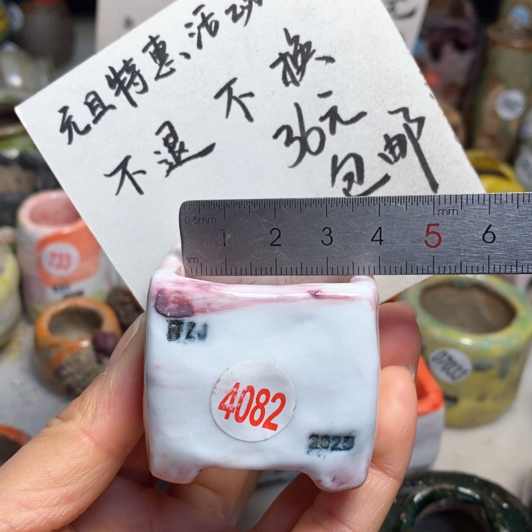 元旦特惠不退不换原价28元，花盆