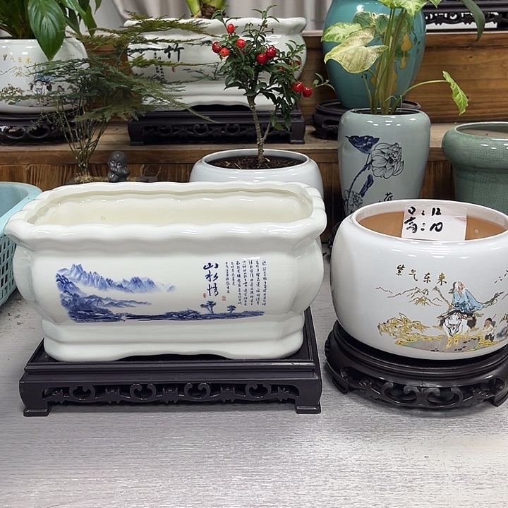 陶瓷花盆紫砂花盆福利抢购