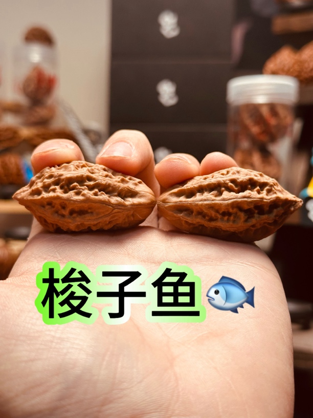 【梭子鱼】梭子鱼文玩核桃奇型把件送女朋友感动到哭