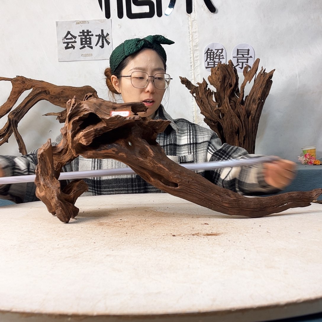 沉木造景寄居蟹景