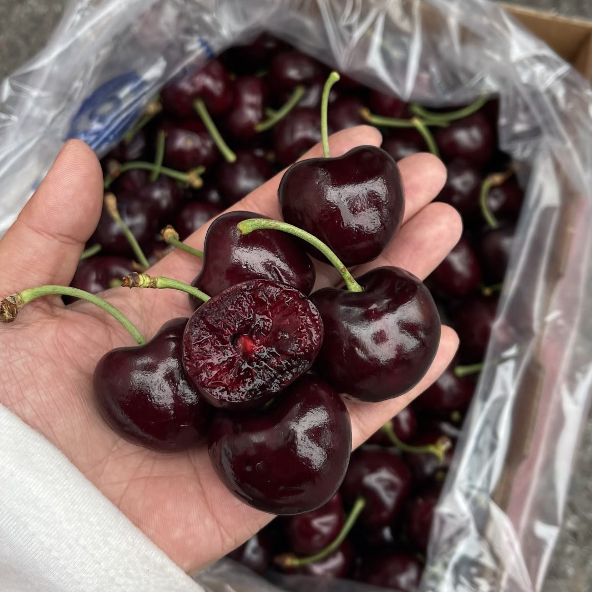 锁扣【3JD桑提娜】车厘子智利海运新鲜脆甜39.8元一斤内附果径卡桑提娜智利