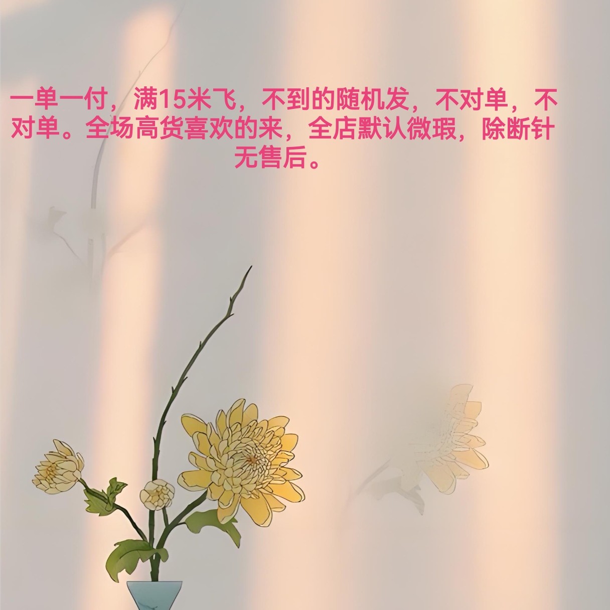 925银羽毛耳饰 耳环