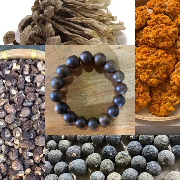 【土特产菌/阿龙专属113】重量25g