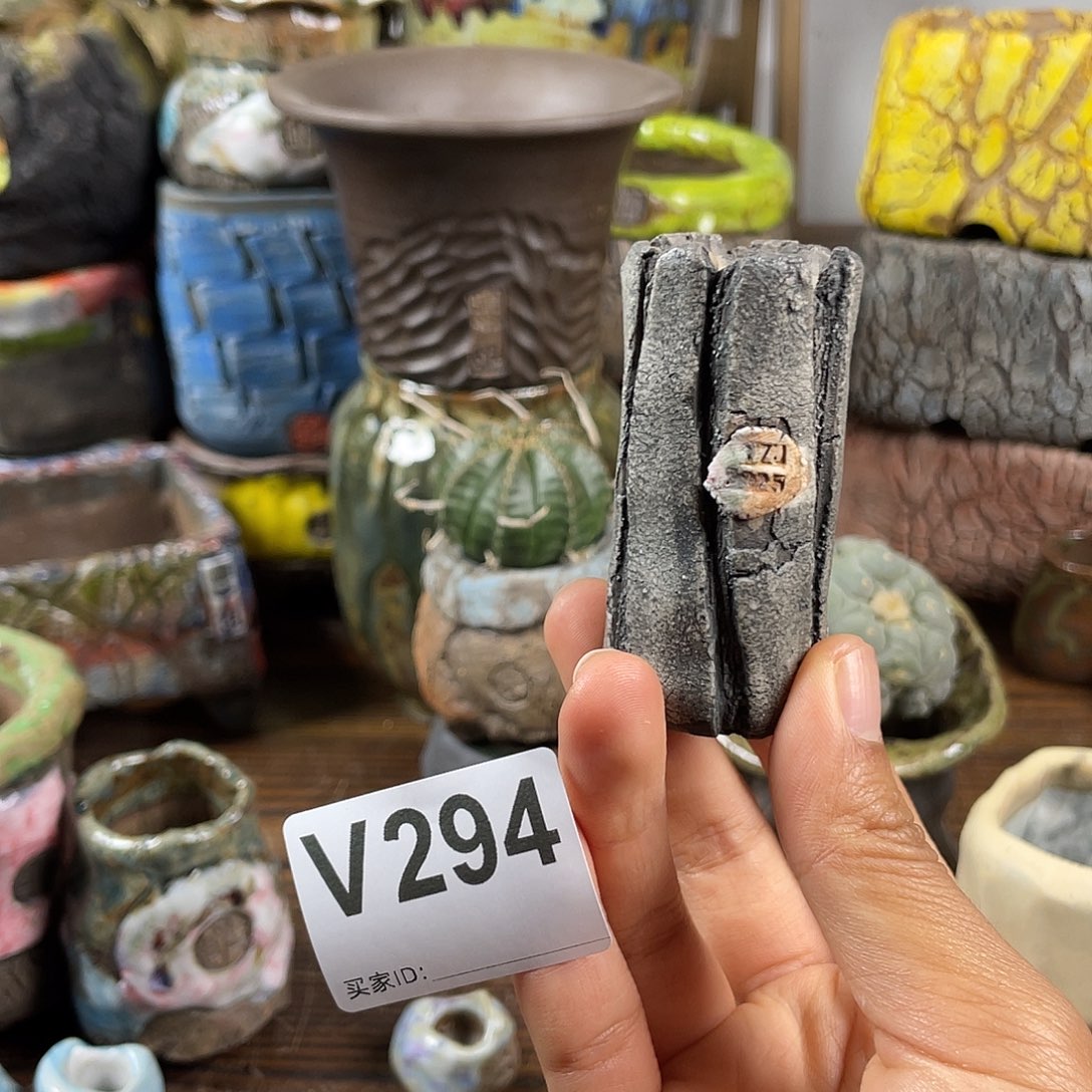 默认微次  限时福利 坛子姐花盆