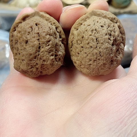 文玩核桃把件密纹金蟾带彩42