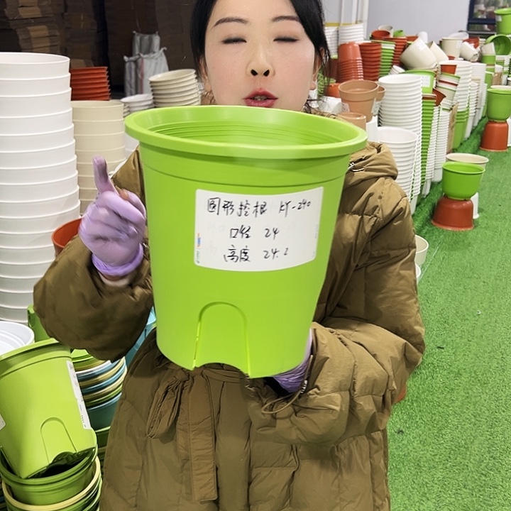 正品圆控口24高24果绿8只无托