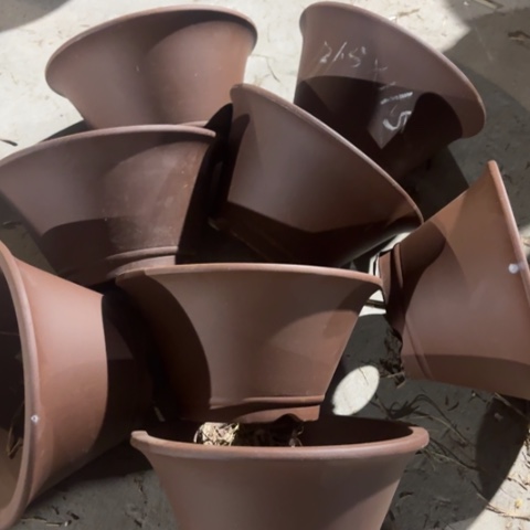 紫砂花盆     ，100-8。 21.5-11