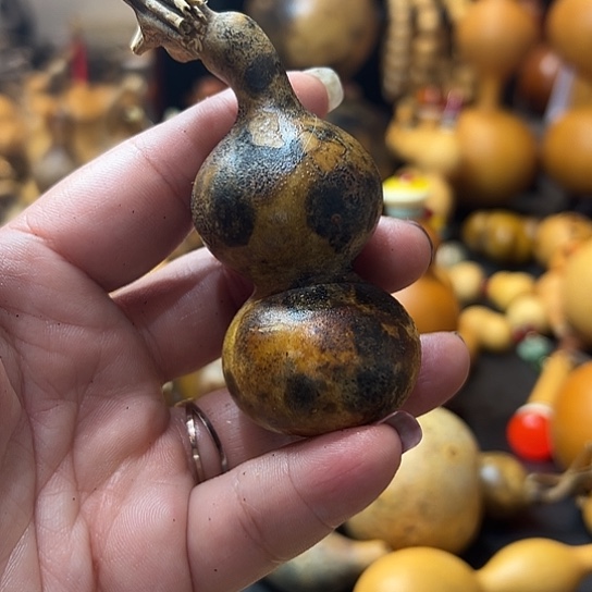 M**许葫芦葫芦葫芦葫芦