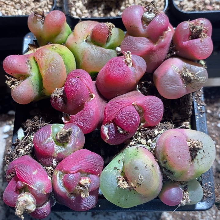 27347有伤一组一组