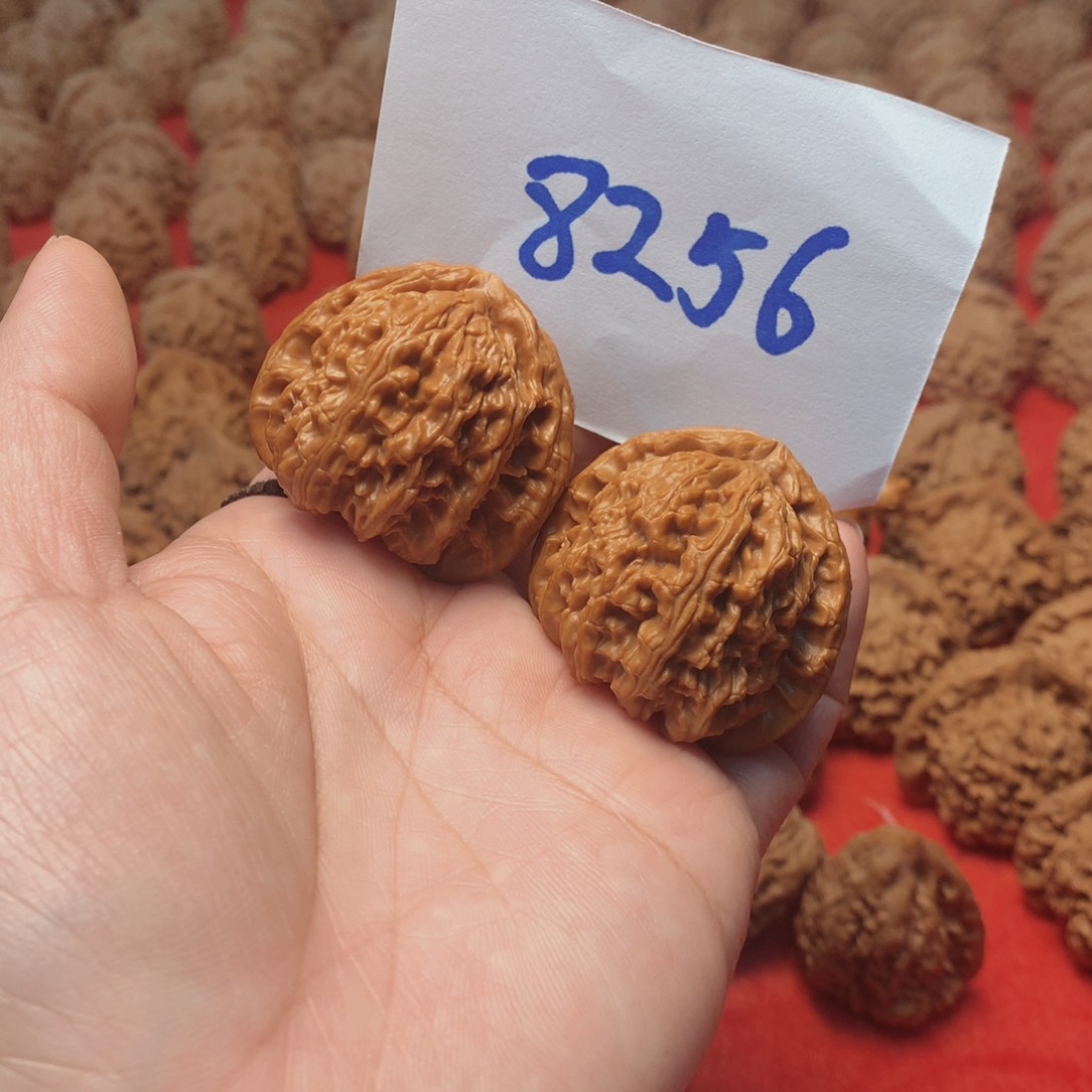 核桃手串/手链愿*意白狮子41尺