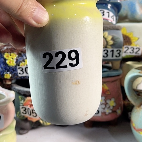 红陶多肉植物花盆