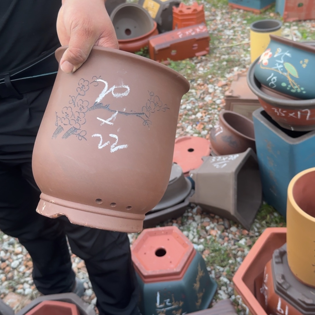 紫砂花盆花盆盆盆栽