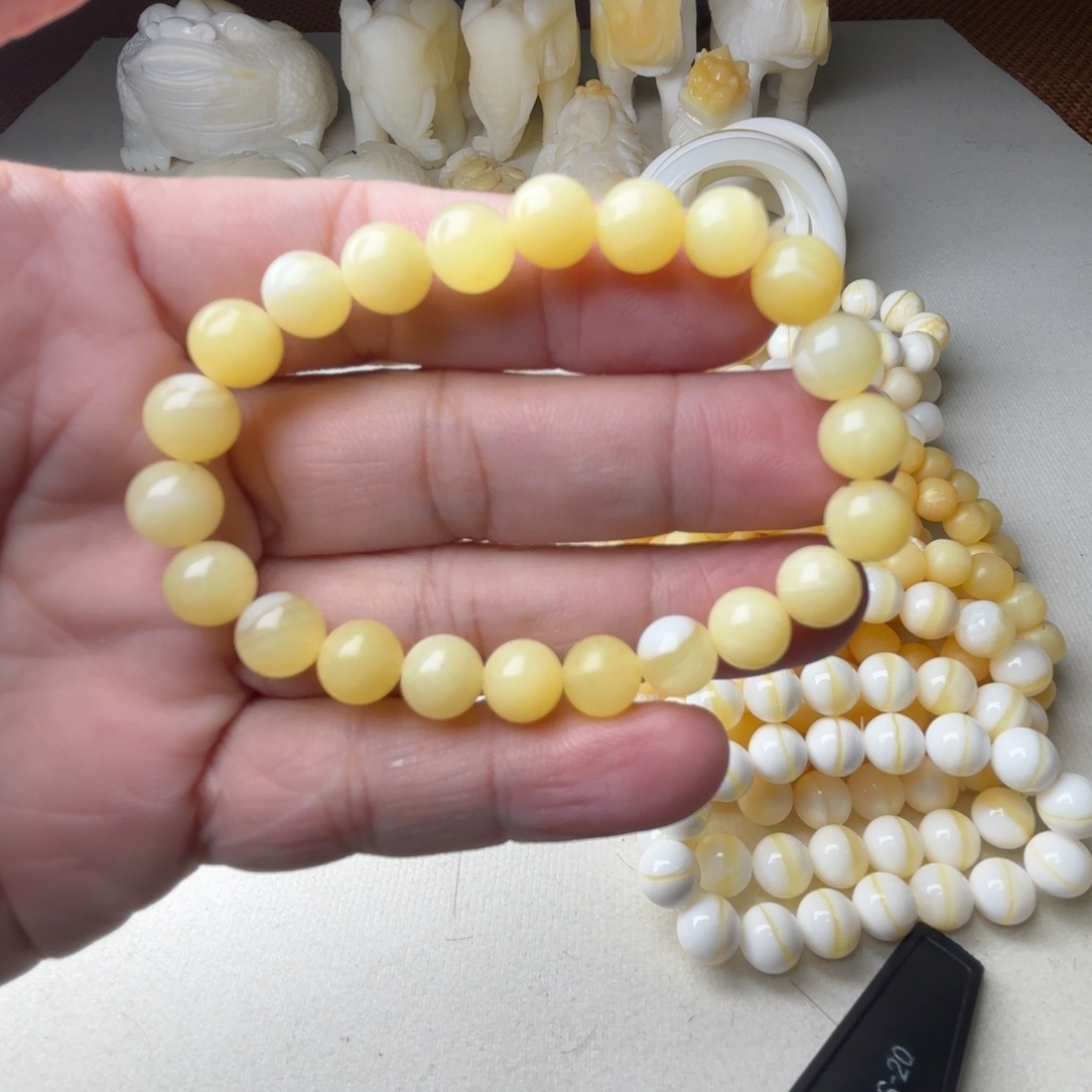 非金属贝壳天然贝壳卡8