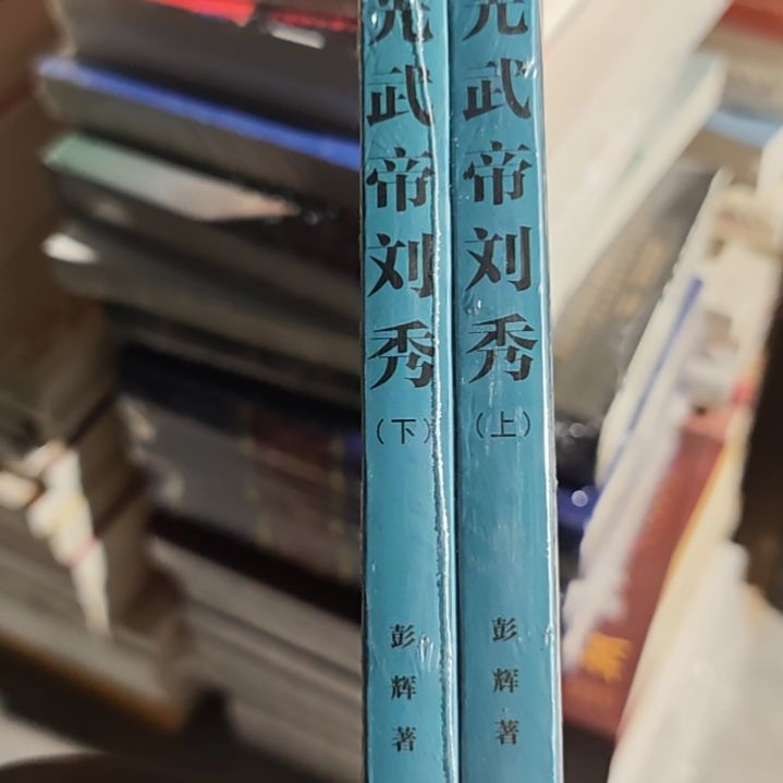 光武帝两本一套平装库存书