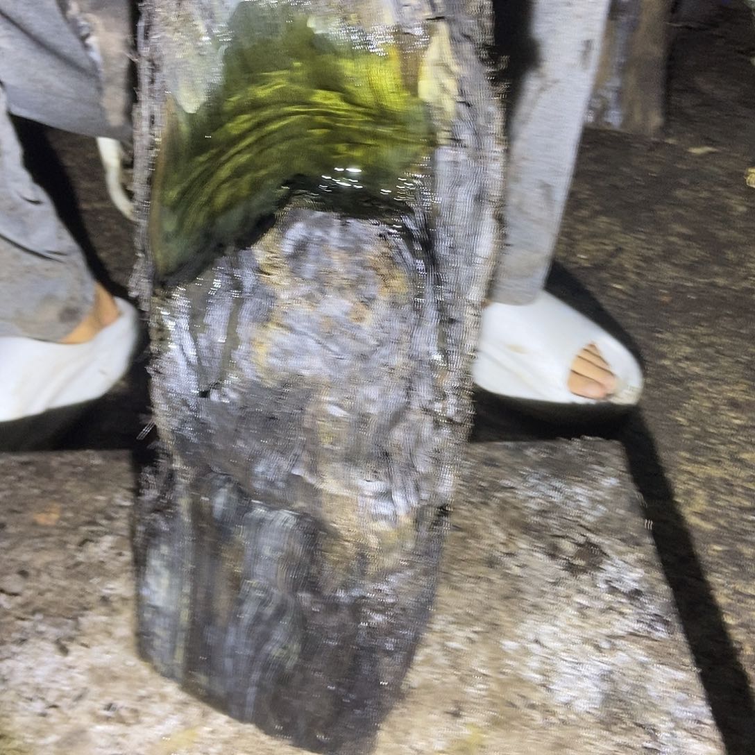 顺****店金丝楠阴沉木毛料