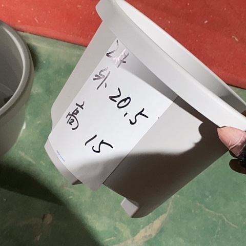 树脂球根21口无托灰白5个