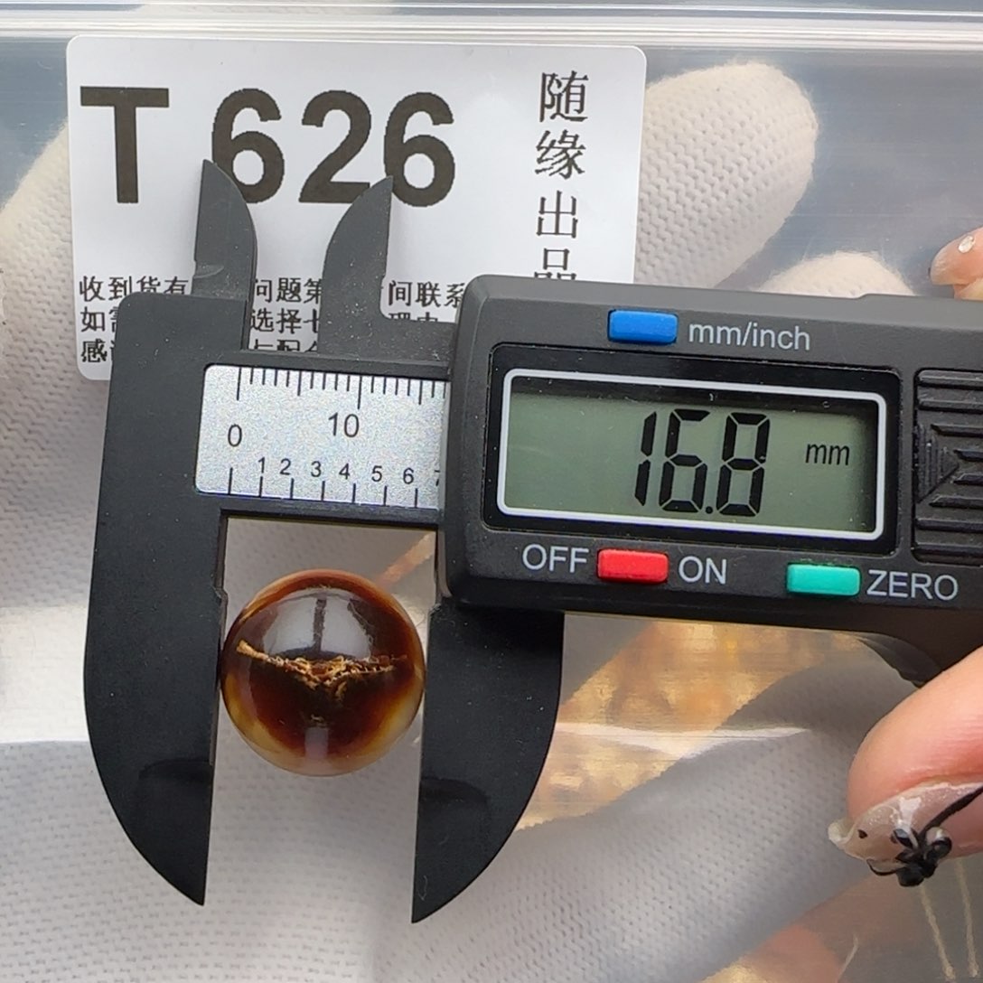 未镶嵌琥珀裸石16尺寸