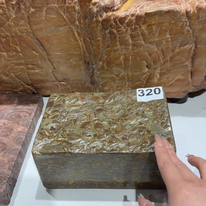 11111111彼*.11111111