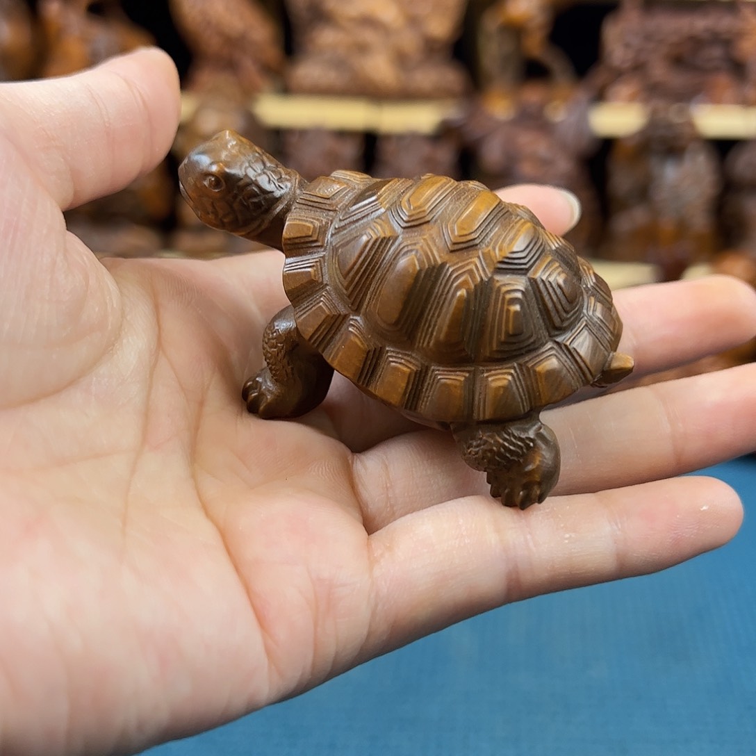 黄杨木小叶黄杨木