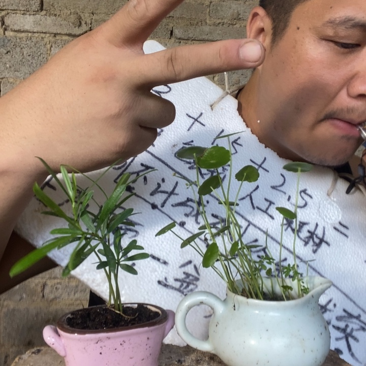 退款拉黑一物一拍211