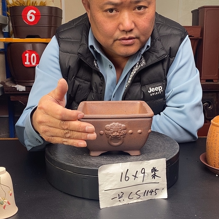 花盆紫砂货号一只CS1145