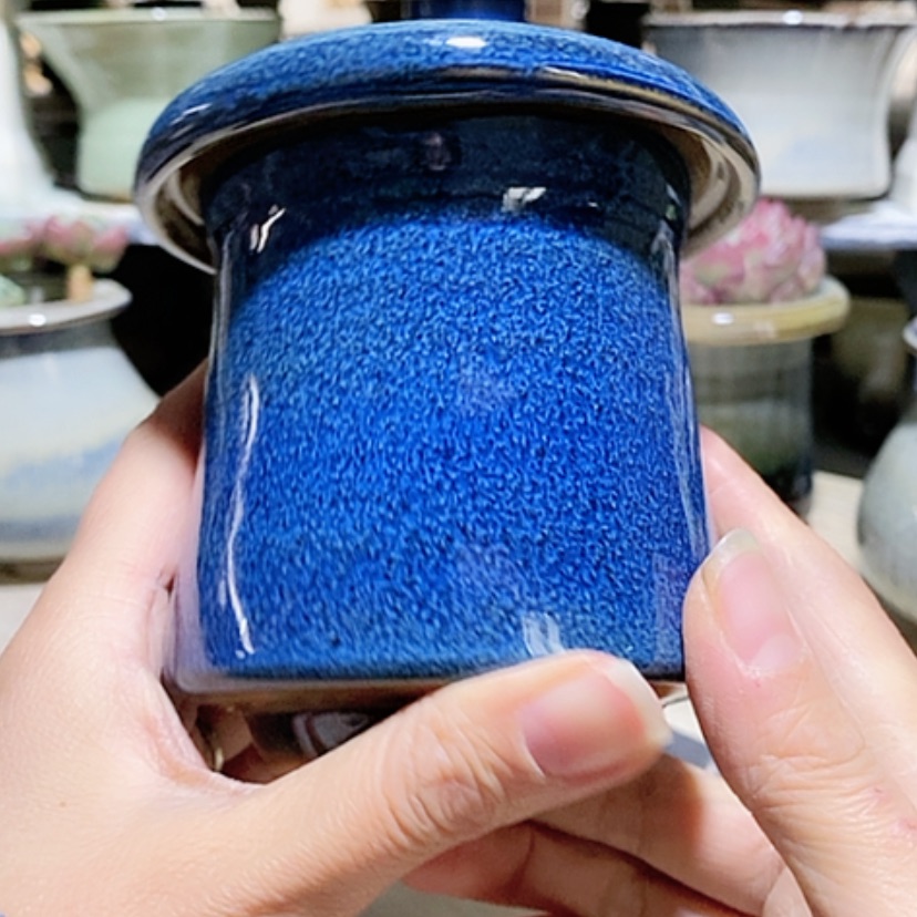 【闪购商品】红陶口8