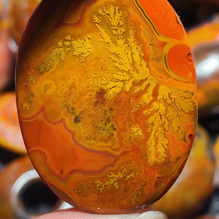 玛瑙/玉髓玛瑙未镶嵌诸****。