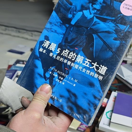 清晨5点的第五大道平装库存书