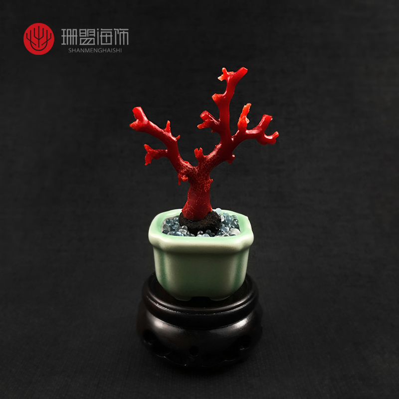 红珊瑚阿卡摆件珊瑚原枝小树摆件天然宝石珊瑚