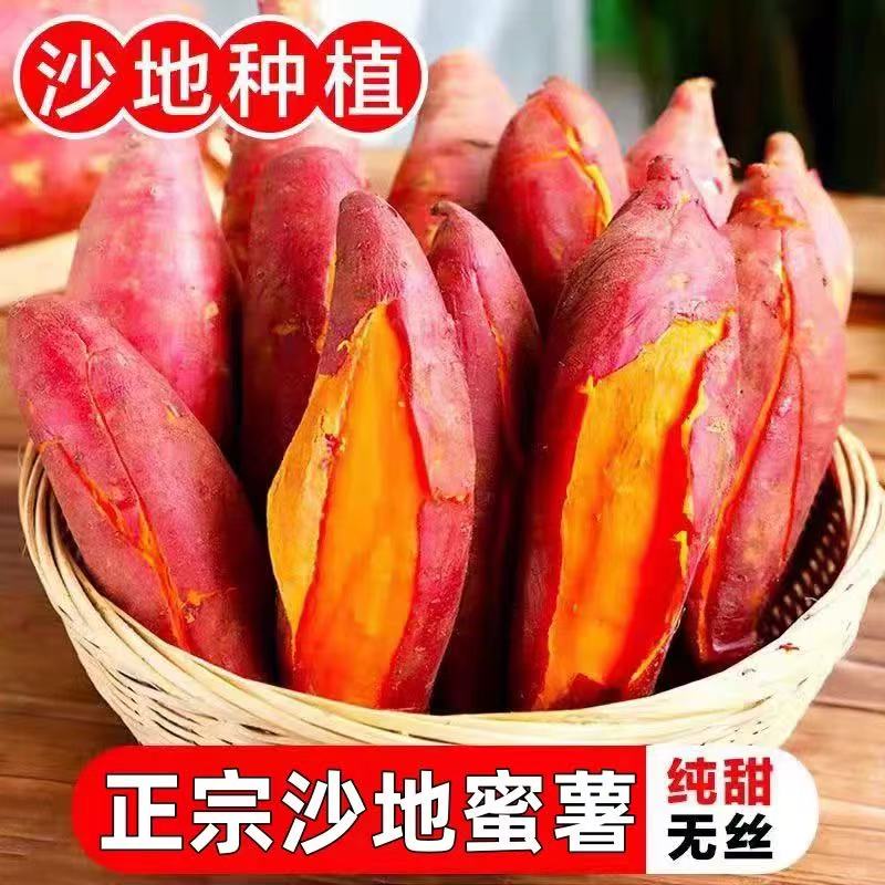 正宗云南沙地板栗红薯新鲜红蜜薯蔬菜番薯地瓜新鲜包邮